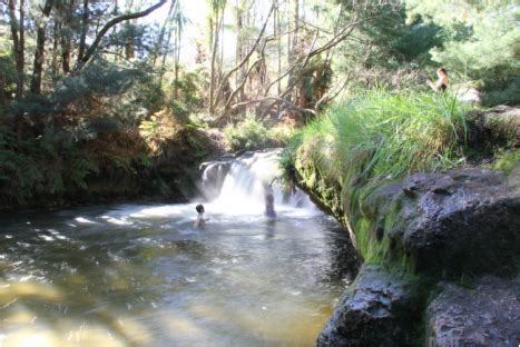 Activities And Attractions LAKE ROTOITI VIEWS