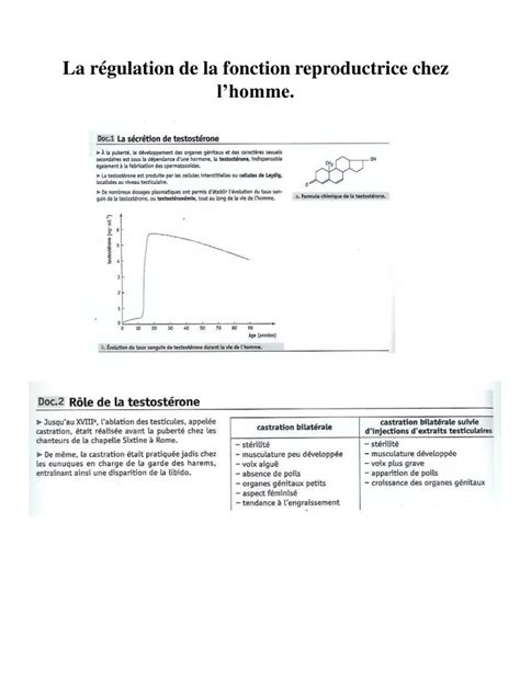 Ppt La R Gulation De La Fonction Reproductrice Chez Lhomme