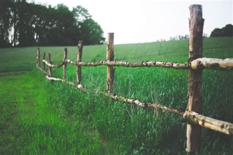 Free Images Tree Nature Grass Fence Field Farm Meadow