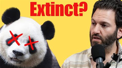 The Reason Pandas Are No Longer Extinct Dr Reese Reacts