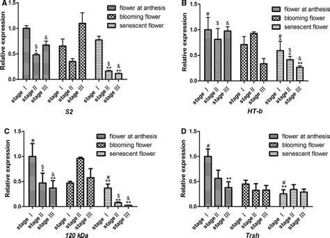 The Relative Expression Level Of SI Related Genes During Plant