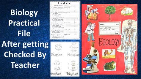 Final Biology Practical File After Getting Checked By Teacher Class 12 Practical Handwritten