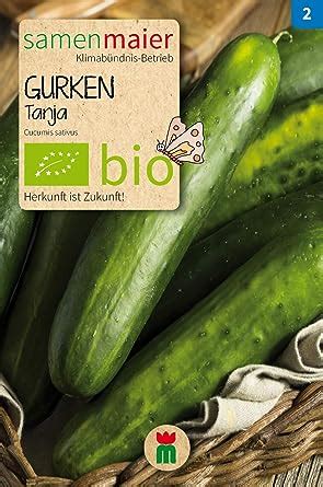 Bio Gurken Tanja Freiland Salatgurke Cucumis Sativus Amazon De