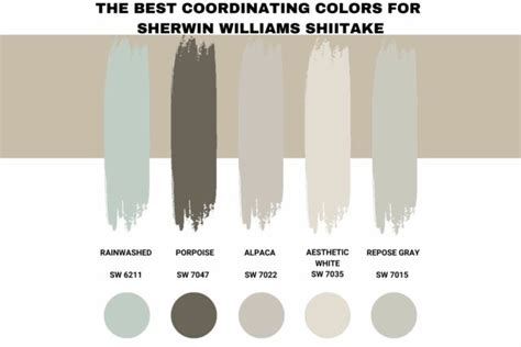 Sherwin Williams Shiitake Palette Coordinating Inspirations