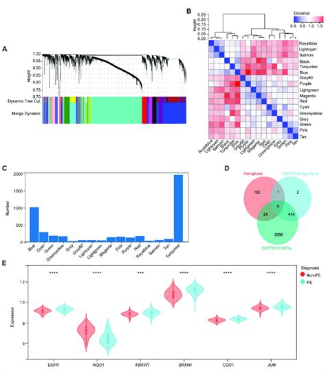 Identification Of Candidate Ferroptosis Related Hub Genes In The Download Scientific Diagram