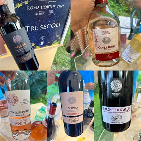 Roma Hortus Vini