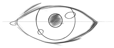 How To Draw Easy Eyes How To Draw Eye Expressions Step By Step