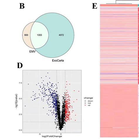 Proteomic Analysis Of Huc Msc Emvs And Huc Msc Exosomes Venn Diagram