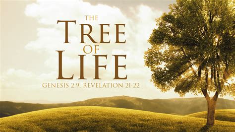 The Tree of Life – Hoover Church of Christ