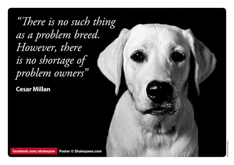 Quotes Love Between Dog Owner - Quetes Blog