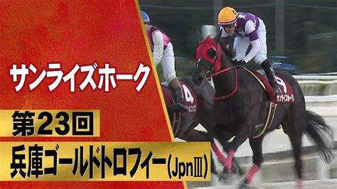 Mデムーロ騎手騎乗のサンライズホークが重賞連勝！【第23回兵庫ゴールドトロフィー（jpnⅢ）】 うまっ娘