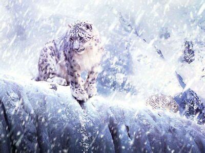 Office Wall Decor Snow leopard in the mountains Oil Painting Printed On ...