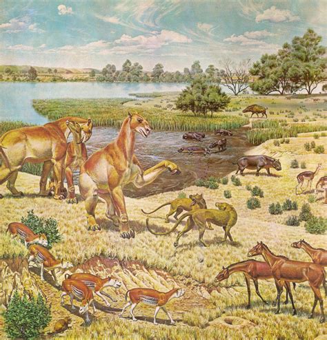 Life On Earth During The Miocene Epoch Hubpages