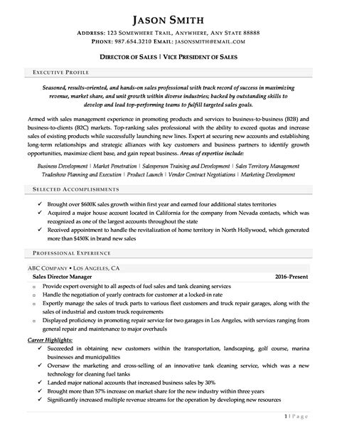 Executive Resume 1 Resume Valley