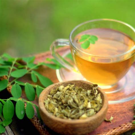 Moringa Tea ডাঁটা বা ফুল নয় সজনে পাতার চায়ের মধ্যেই লুকিয়ে সুস্বাস্থ্যের রহস্য জানতেন