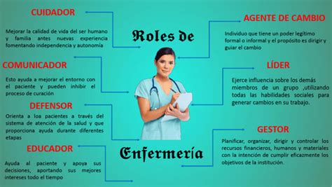 Organizador Visual Pdf