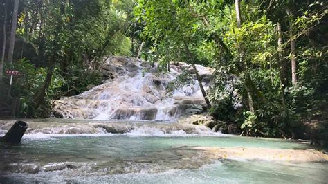 Dunns River Falls Tubing From Montego Bay Jamaica Tourbase