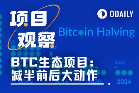 减半倒计时23天，比特币生态热门项目扎堆借势 Aicoin