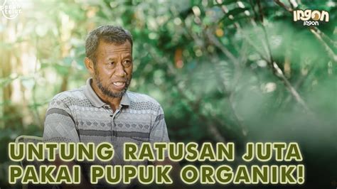 Manfaatkan Limbah Ternak Maksimalkan Panen Kakao Hingga Ratusan Juta