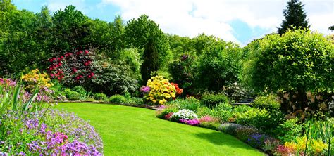 Giardinieri Anticrisi Manutenzione E Cura Del Verde Giardiniere Milano