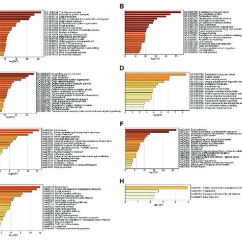 A Expression Levels Of Tmed In Cbioportal Database In Hnsc