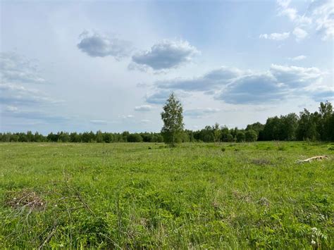 Купить земельные участки в посёлке Лукошкино в 46 км от МКАД