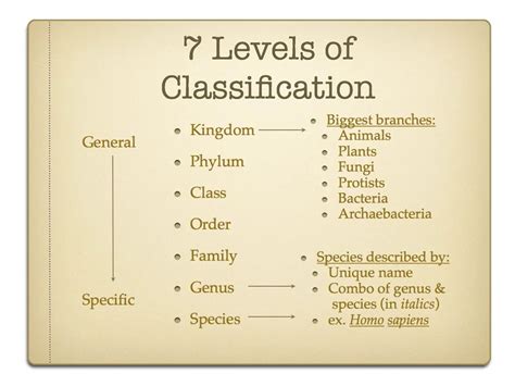 Standard Part Classification Systems: An Incomplete Solution - CADENAS ...