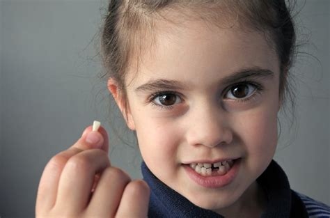 Fears And Fun Of Losing Baby Teeth Bear Creek Pediatric Dentistry