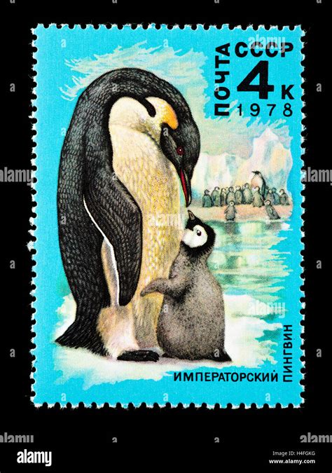 Postage Stamp From The Soviet Union Depicting An Emperor Penguin And