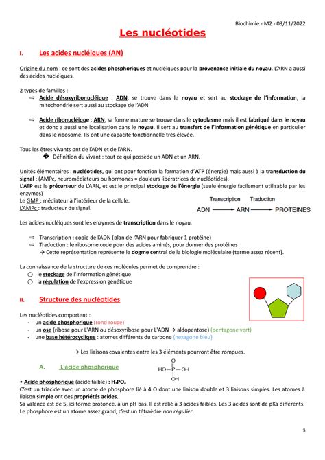 8 Nucléotides Biochimie M2 03 11 Les nucléotides I Les acides