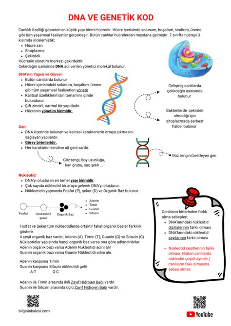 Dna Ve Genetİk Kod Lgs Ders Notu Pdf Bilginin Kalesi