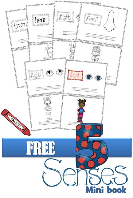 My Five Senses Story Book Free Printable Pdf Mini Books My Five