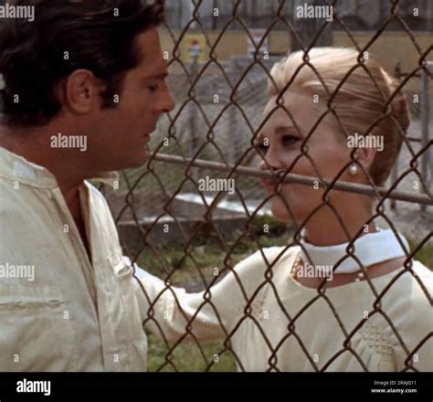 A Place For Lovers 1968 Mgm Film With Faye Dunaway And Marcello