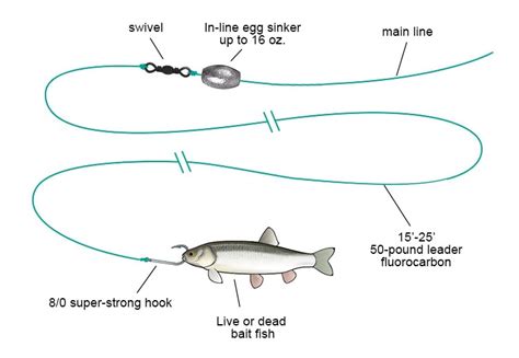 In-line Snapper Rig for Snapper Fishing