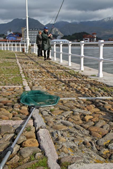 Rivers of Asturias: sport fishing Asturias | asturias.com