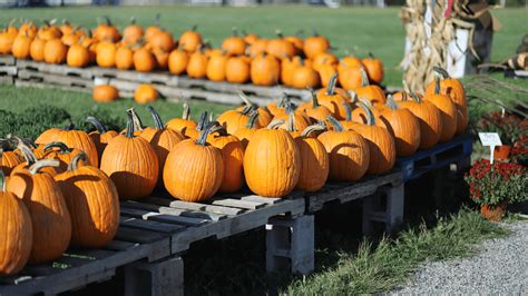 88 Fun And Creative Fall Festival Ideas For Your Church Reachright