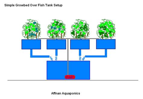 Affnans Aquaponics Setting Up A Simple Aquaponics System