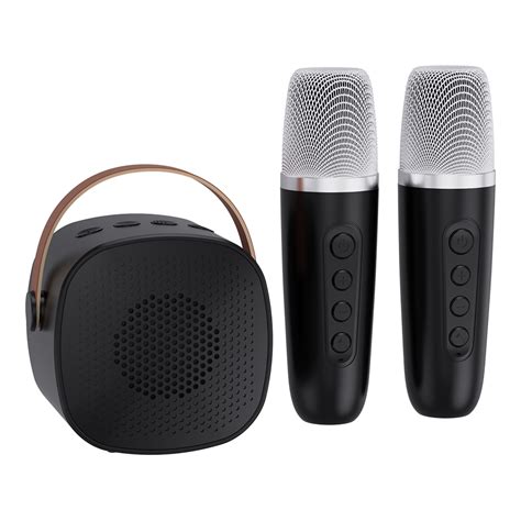 GOOJODOQ Wireless Mini Karaoke Bluetooth Speaker With Microphone