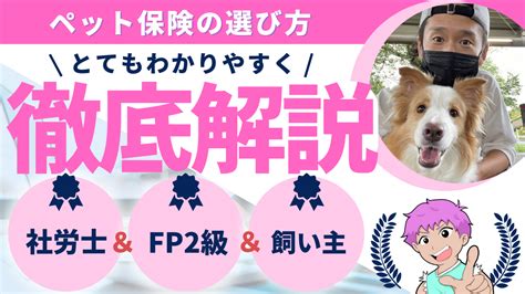 【ペット保険は必要？】社労士＆fpの飼い主が解説！損得ではない正しい選び方！わんだブログ