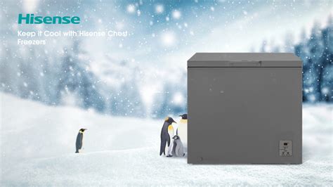 Hisense H Cfs Chest Freezer Hisense Sa