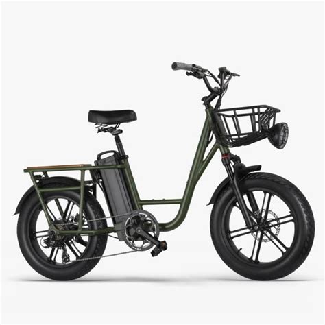 Fiido T1 Vélo électrique 20 VTT électrique 750W Moteur 48V 20Ah