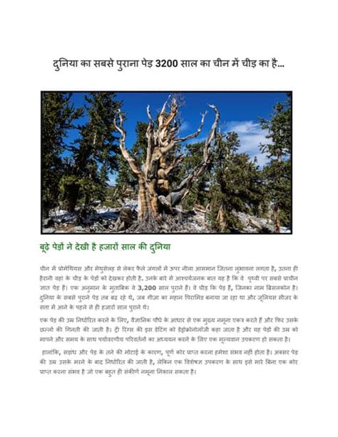 दुनिया का सबसे पुराना पेड़pdf