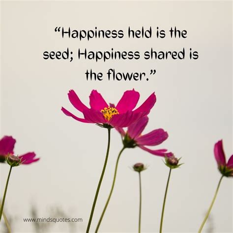 55+ BEST Flower Quotes For Love And Life & Peace