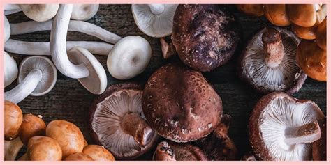 Types Of Mushrooms Common Mushroom Varieties And How To Cook Them