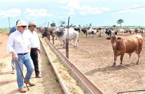 La Cartera De Cr Ditos Del Sector Ganadero Se Multiplic Por En Los