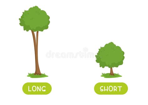 Antonyms Stock Illustrations – 629 Antonyms Stock Illustrations, Vectors & Clipart - Dreamstime