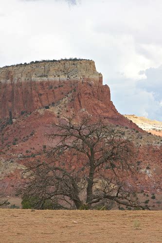 Ghost Ranch Tree Georgia O Keeffe S Ghost Ranch Near Abiq Flickr