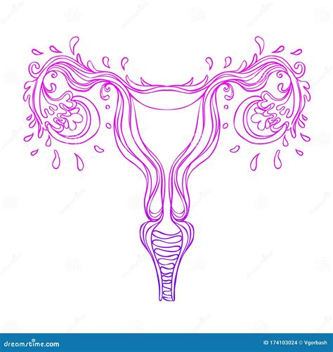 Decorative Drawing Of Female Reproductive System With Flowers Hand