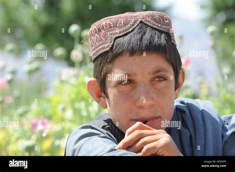 An Afghan Boy Sits Next To A Poppy Field In Shah Wali Kot District