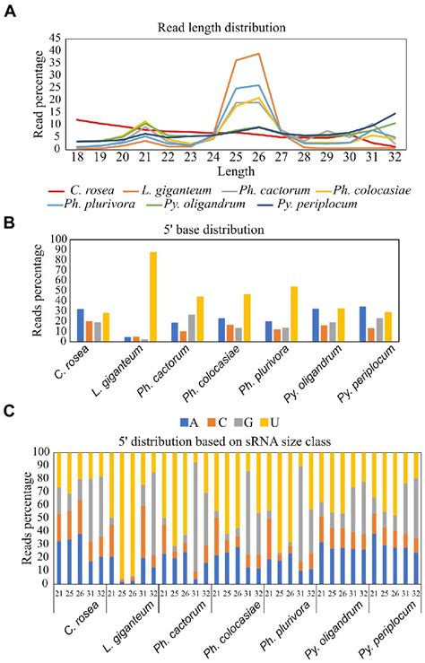 Frontiers Rna Silencing Proteins And Small Rnas In Oomycete Plant